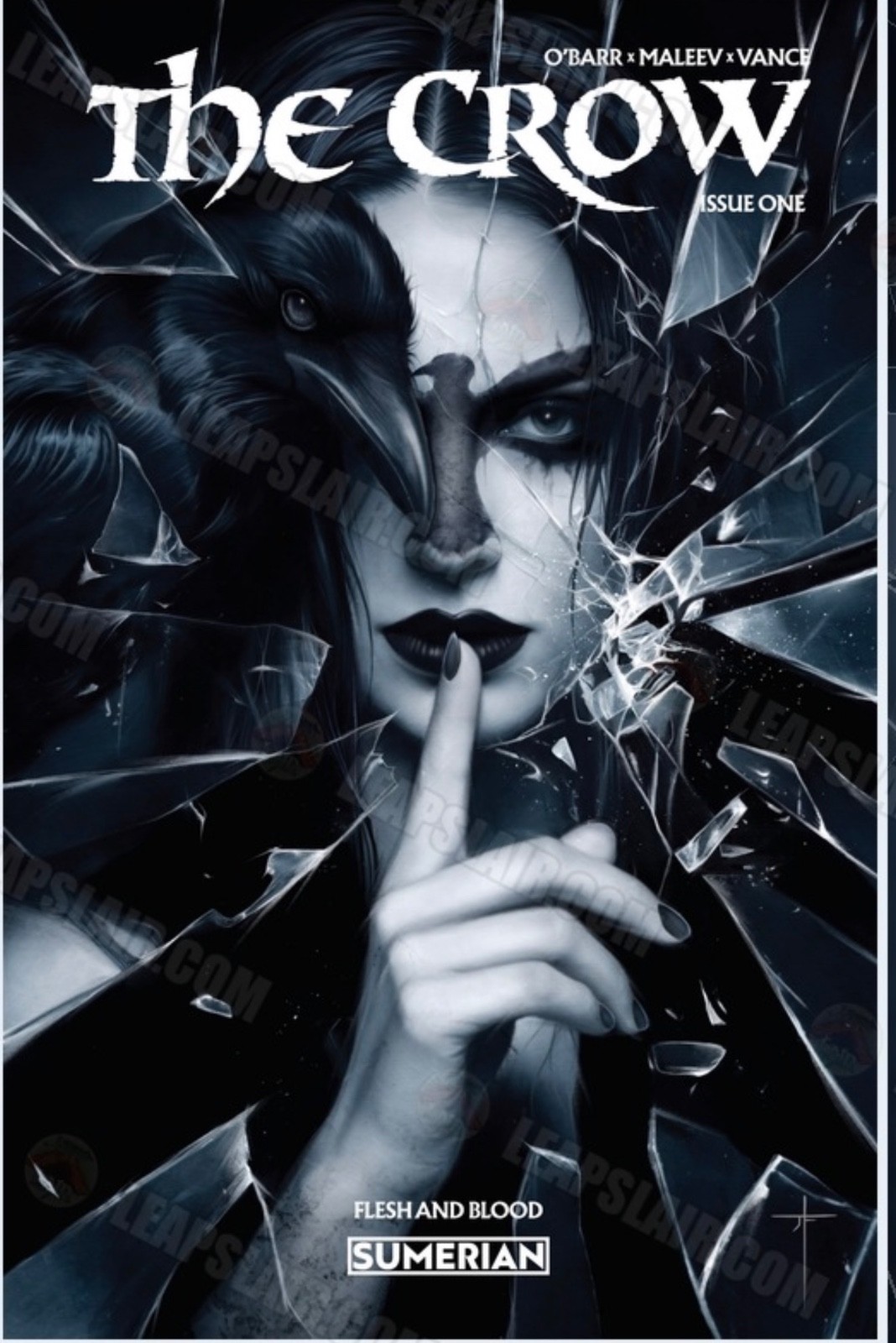 The Crow Flesh & Blood #1 Jay Ferguson Trade Darquerwun Exclusive PRESALE