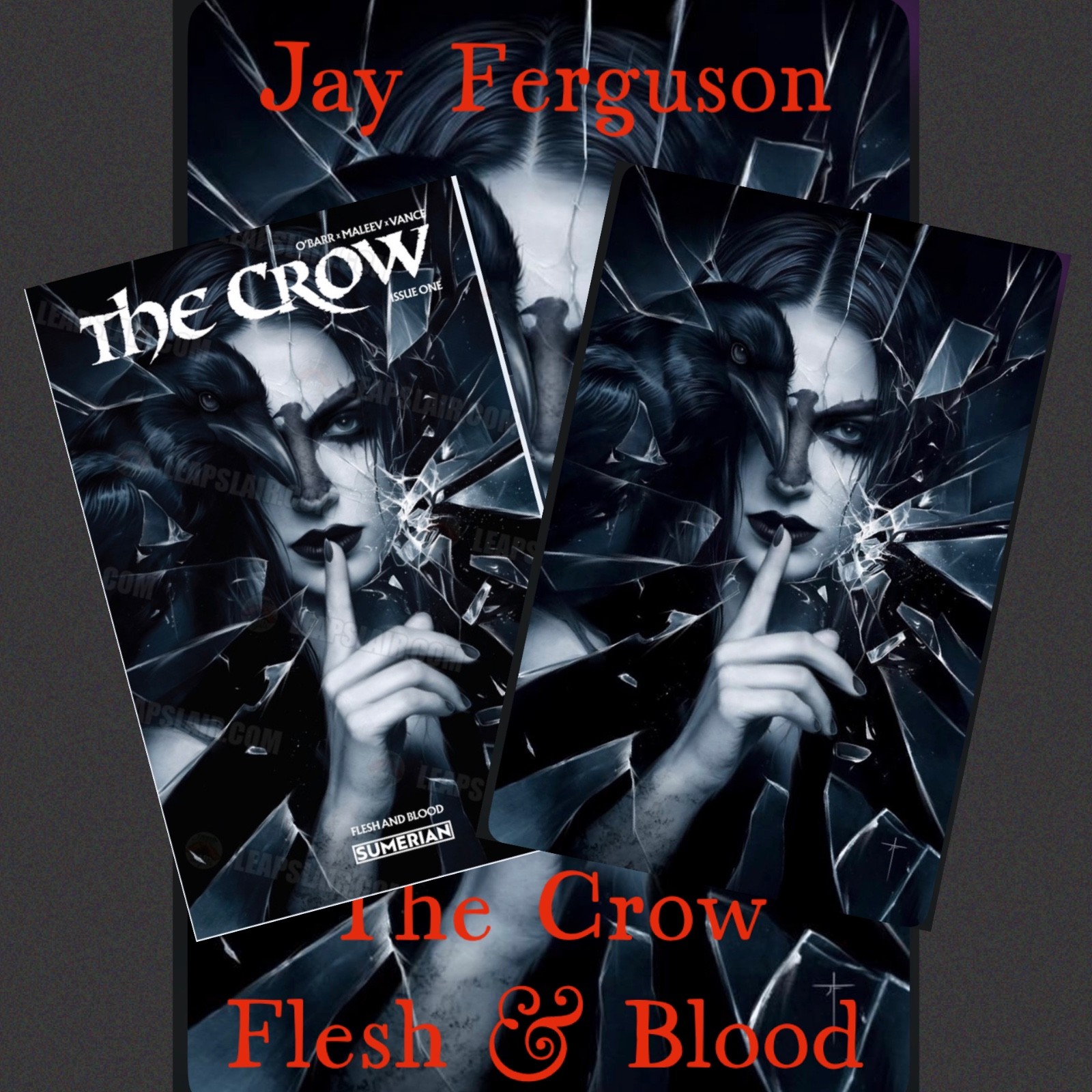 The Crow Flesh & Blood #1 Jay Ferguson Trade & Virgin Set Exclusive PRESALE